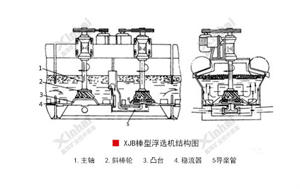 XJB-Bar-Flotation-Cell-1.jpg